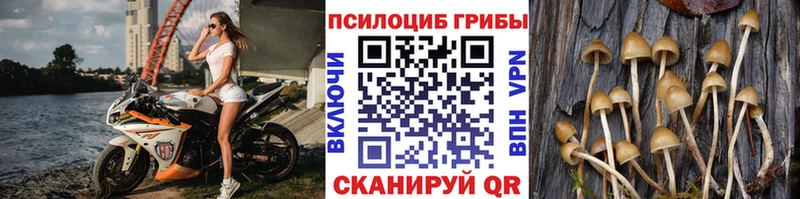 Купить  Гурьевск  Псилоцибиновые грибы GOLDEN TEACHER 